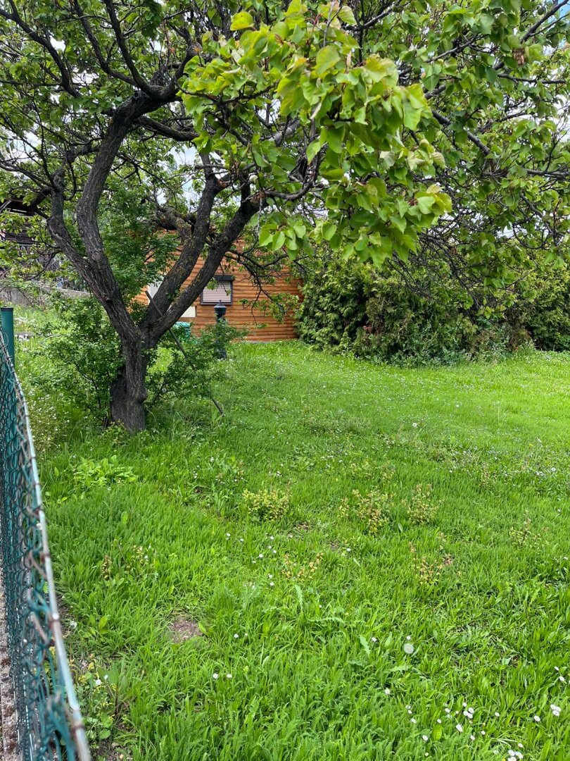 „Grüne Oase mit Perspektive – Kleingartenparzelle in Wien mit geplanter Umwidmung“ | ZELLMANN IMMOBILIEN