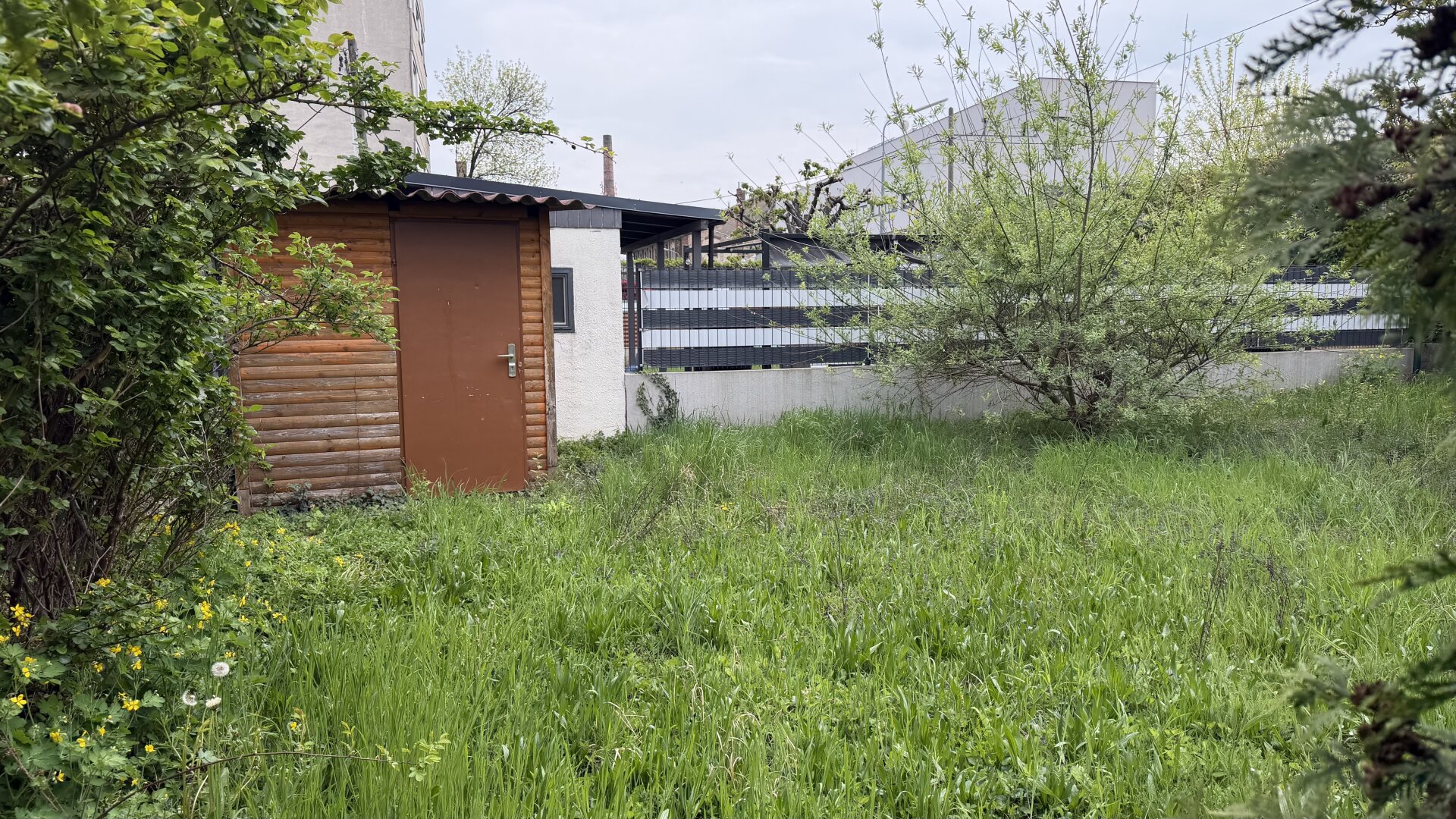 „Grüne Oase mit Perspektive – Kleingartenparzelle in Wien mit geplanter Umwidmung“ | ZELLMANN IMMOBILIEN
