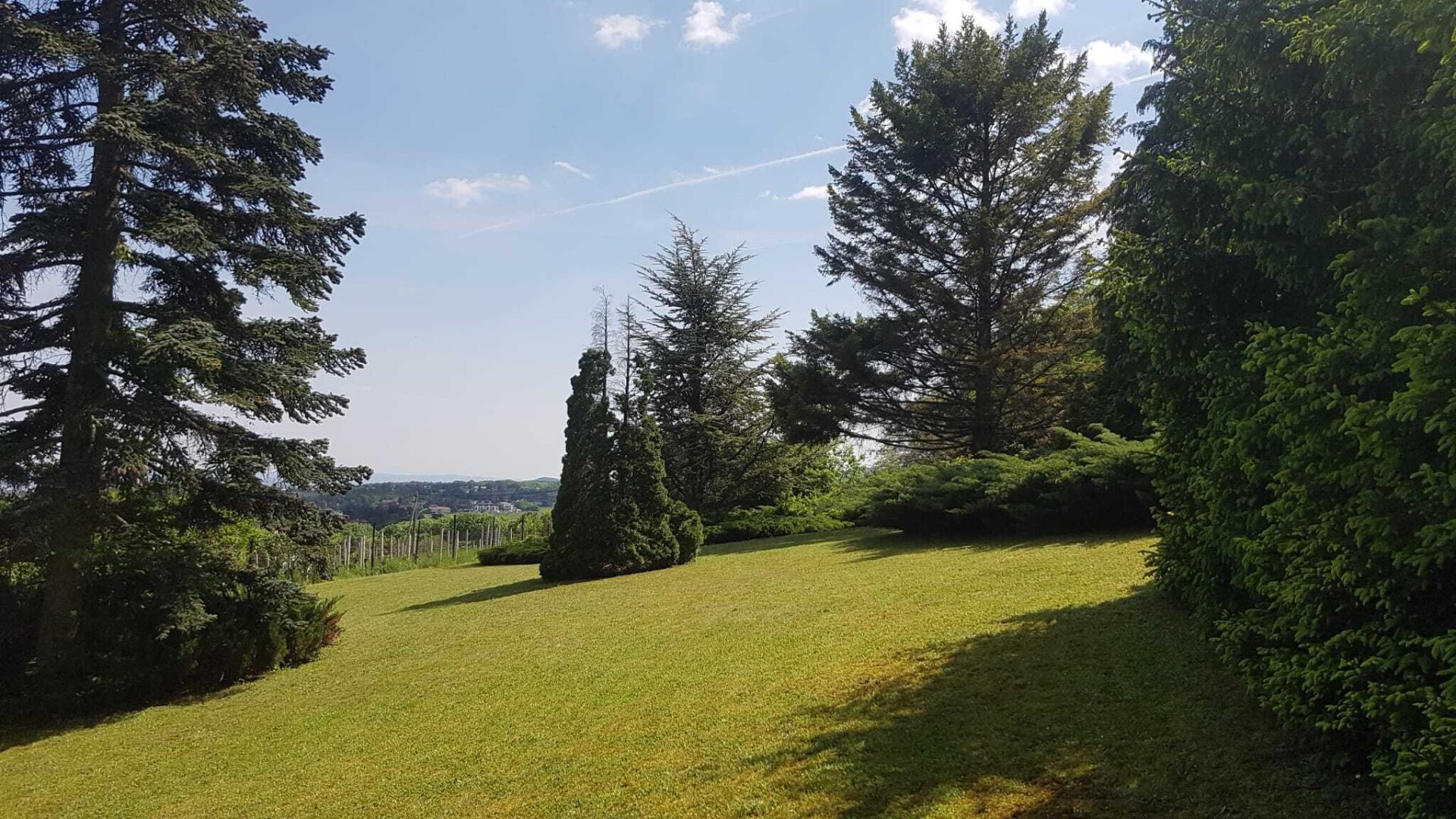 Seltene Gelegenheit: Winzerhaus auf uneinsehbarem Grundstück | ZELLMANN IMMOBILIEN