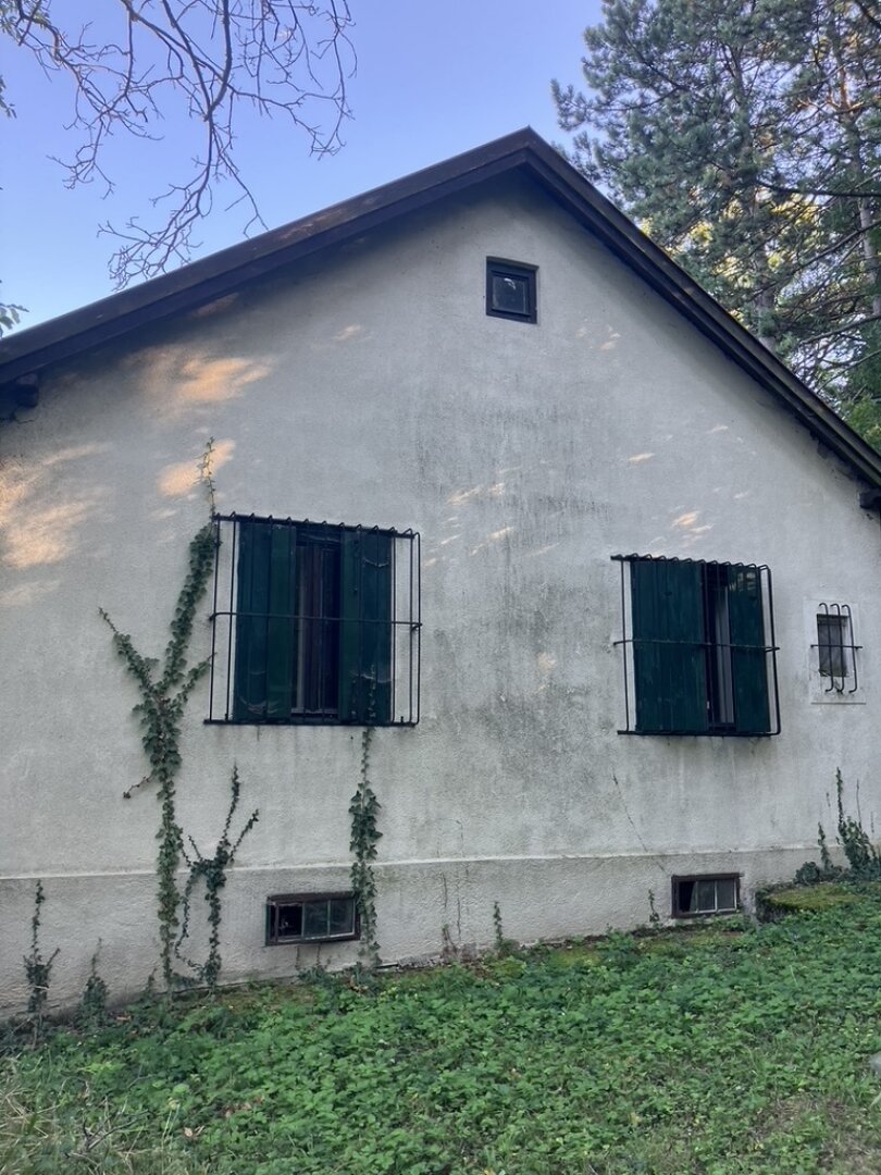 Seltene Gelegenheit: Winzerhaus auf uneinsehbarem Grundstück | ZELLMANN IMMOBILIEN