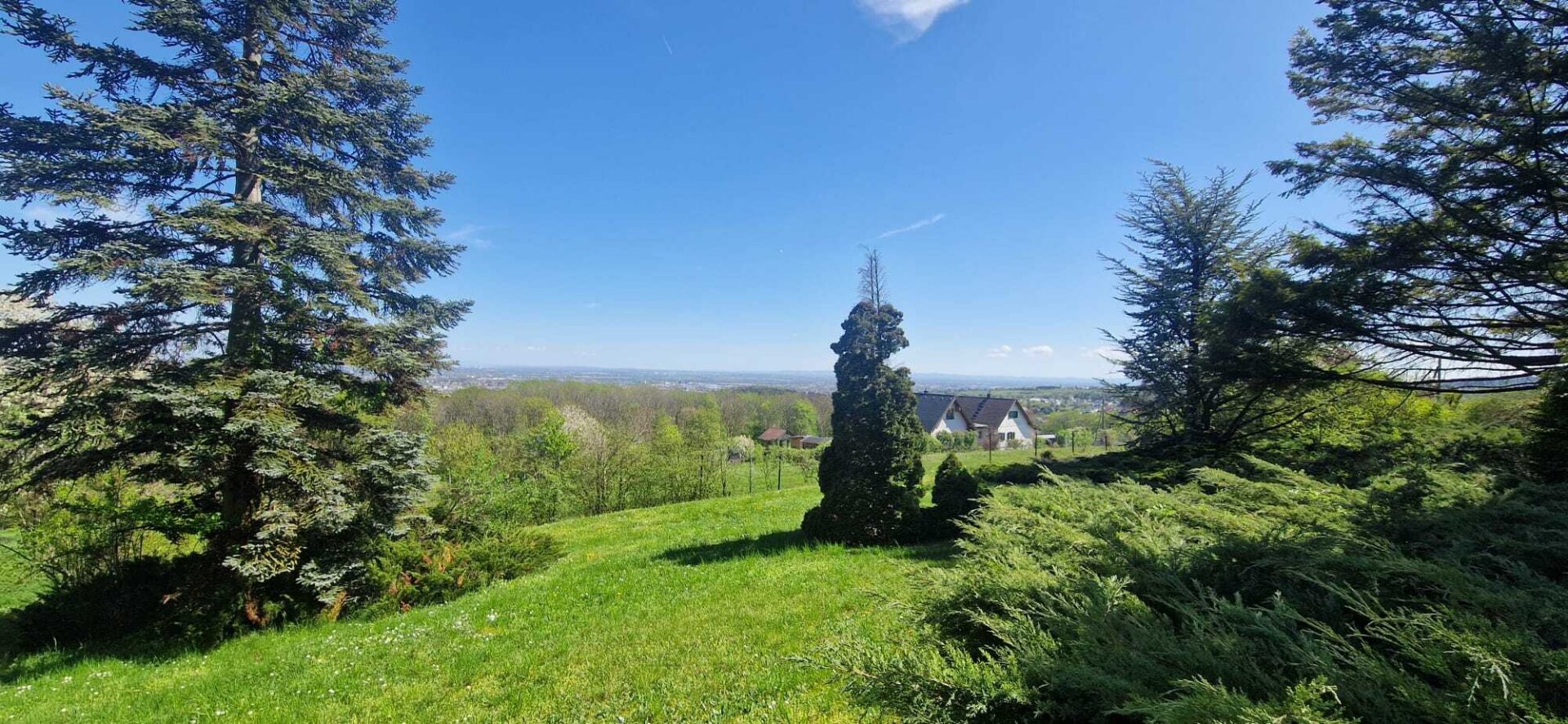 Seltene Gelegenheit: Winzerhaus auf uneinsehbarem Grundstück | ZELLMANN IMMOBILIEN