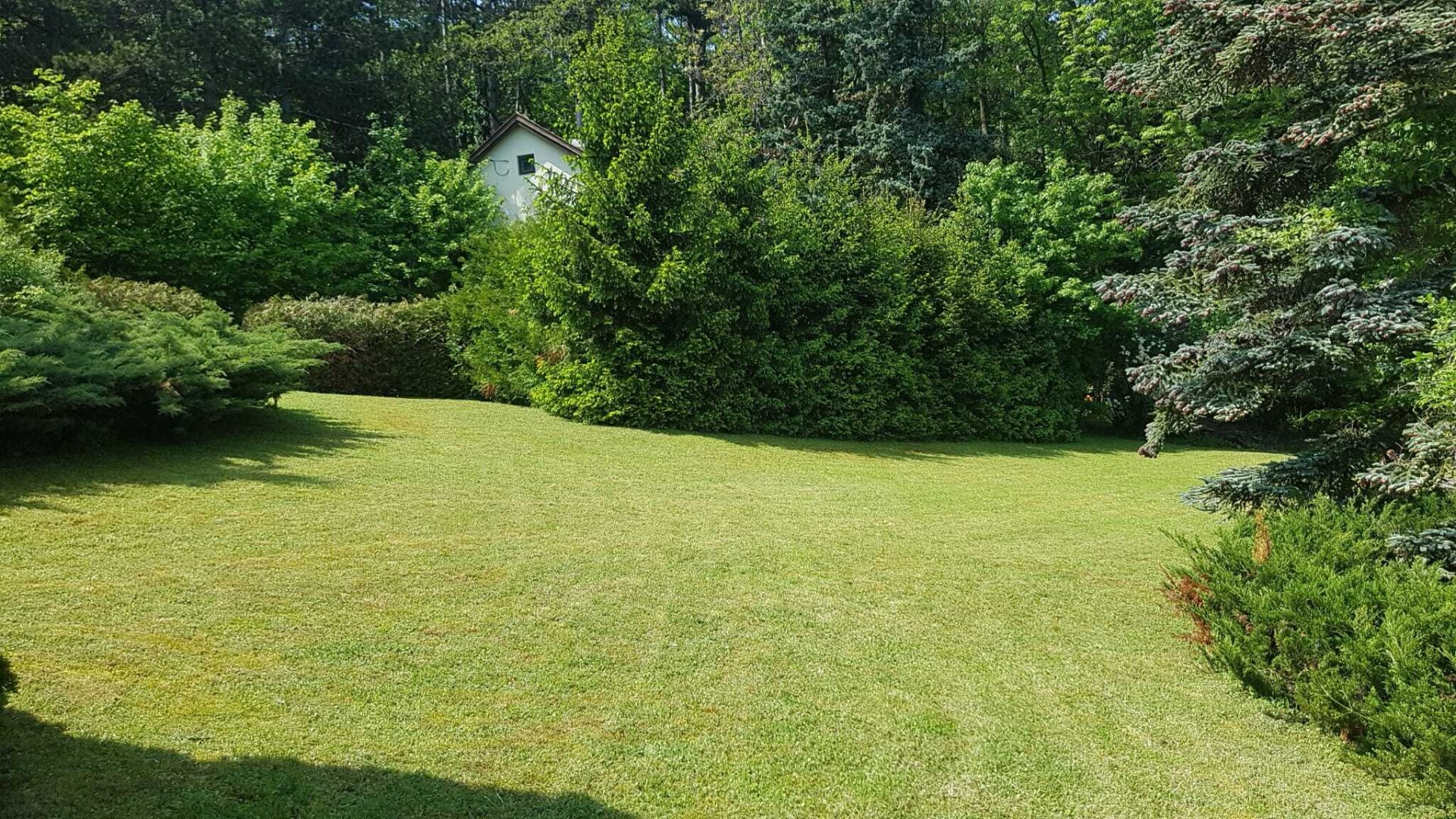 Seltene Gelegenheit: Winzerhaus auf uneinsehbarem Grundstück | ZELLMANN IMMOBILIEN