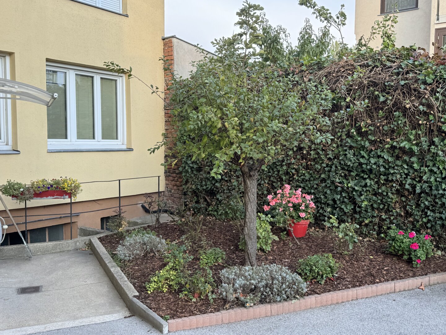 RAUMWUNDER - Gemütliche 2 Zimmerwohnung in Ruhelage | ZELLMANN IMMOBILIEN