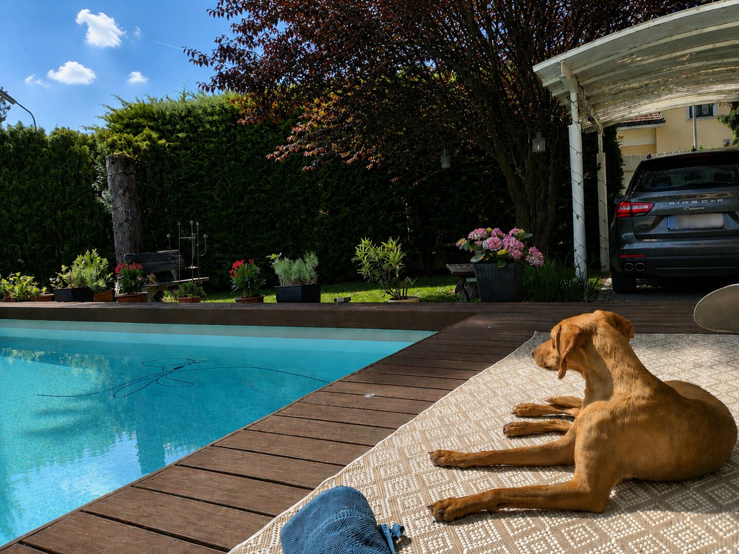 Stilvolles Wohnen in Mauer mit Pool, großzügiger Terrasse und privatem Gartenambiente | ZELLMANN IMMOBILIEN