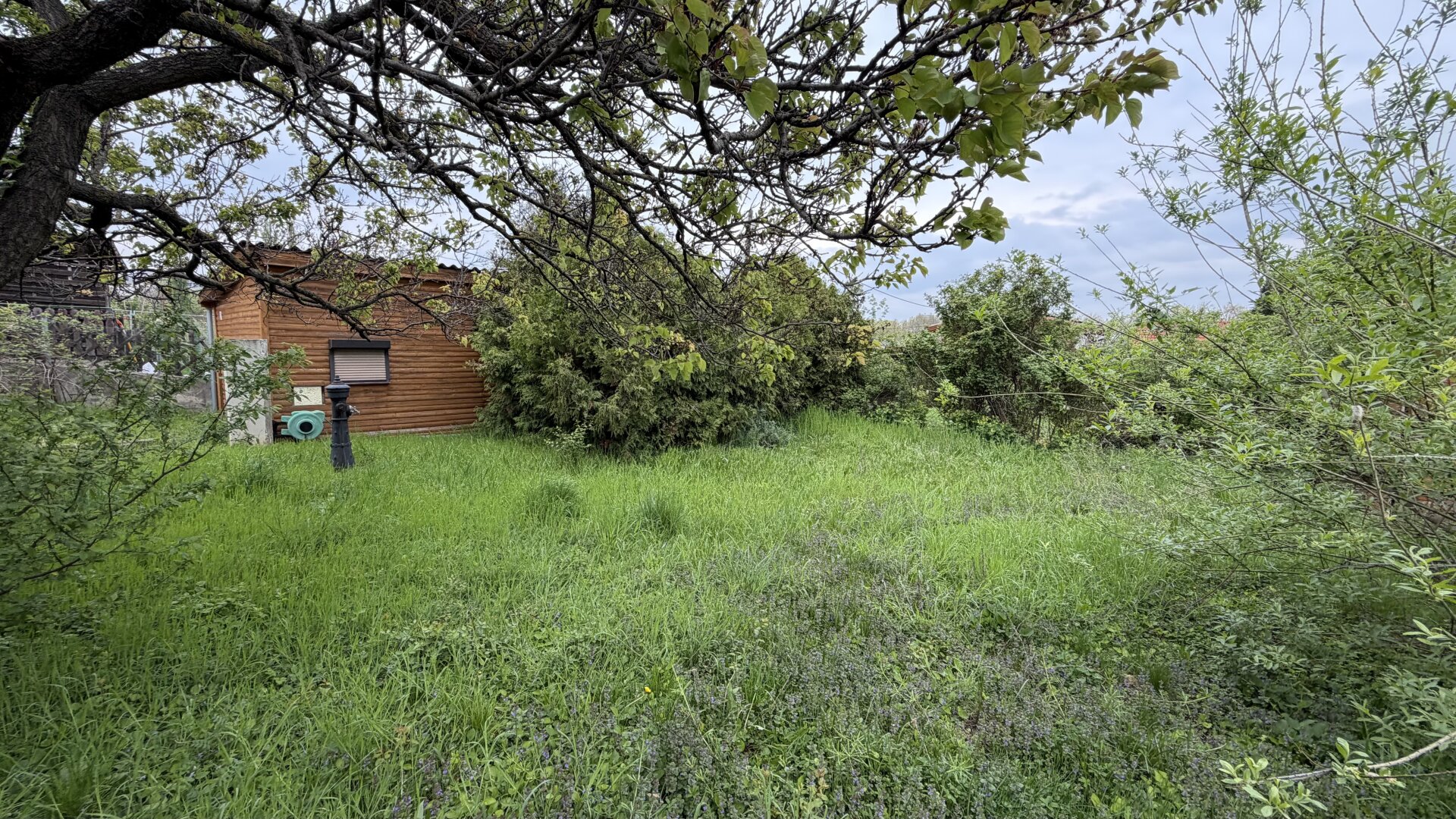 „Grüne Oase mit Perspektive – Kleingartenparzelle in Wien mit geplanter Umwidmung“ | ZELLMANN IMMOBILIEN